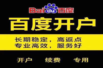 成功背后的力量：SEM推广代运营公司的故事