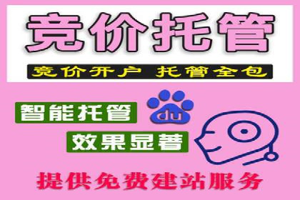 百度广告推广优化案例分析